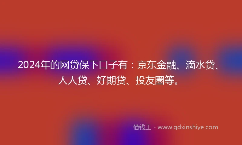 2024年的网贷保下口子有：京东金融、滴水贷、人人贷、好期贷、投友圈等。