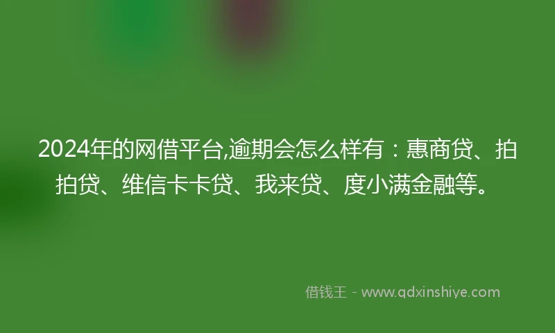 2024年的网借平台,逾期会怎么样有：惠商贷、拍拍贷、维信卡卡贷、我来贷、度小满金融等。