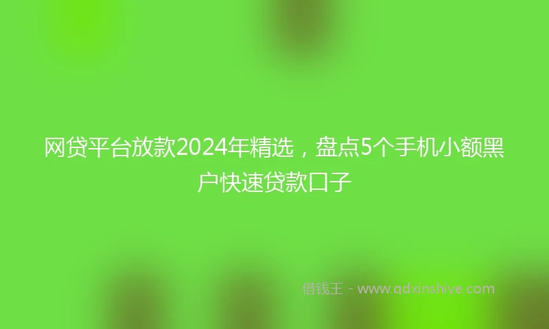 网贷平台放款2024年精选，盘点5个手机小额黑户快速贷款口子