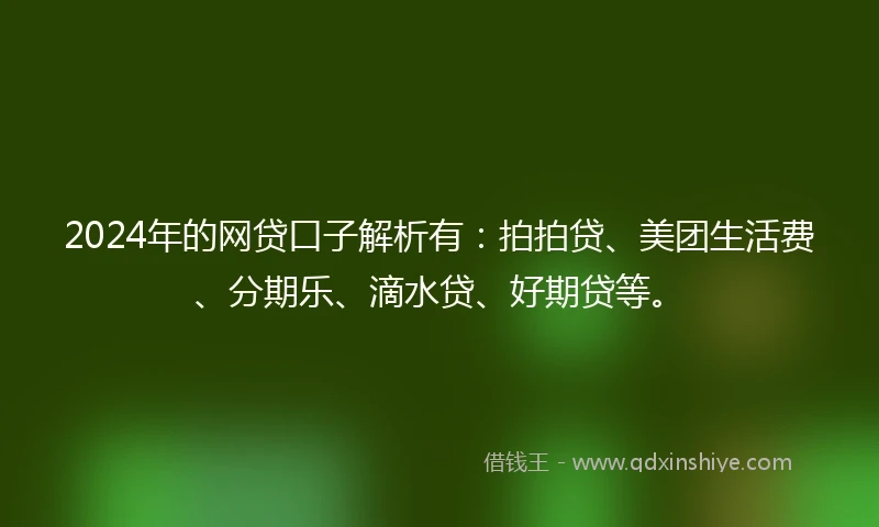 2024年的网贷口子解析有：拍拍贷、美团生活费、分期乐、滴水贷、好期贷等。