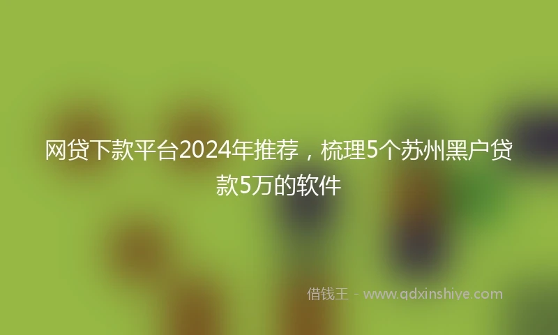 网贷下款平台2024年推荐，梳理5个苏州黑户贷款5万的软件