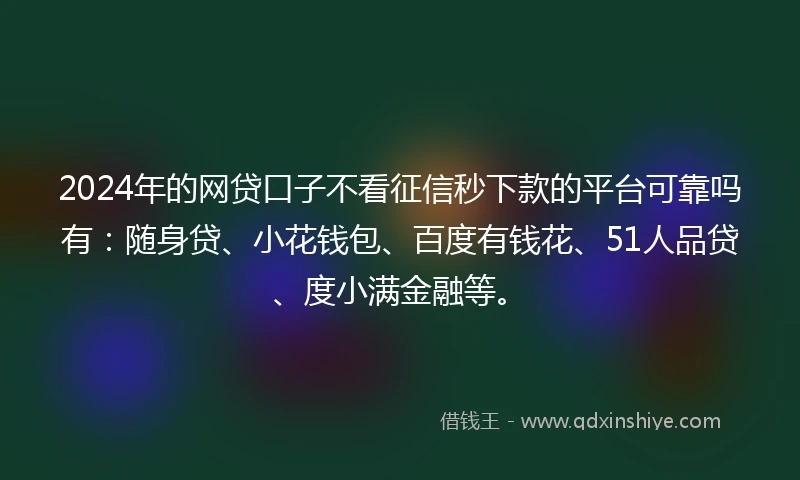 2024年的网贷口子不看征信秒下款的平台可靠吗有：随身贷、小花钱包、百度有钱花、51人品贷、度小满金融等。