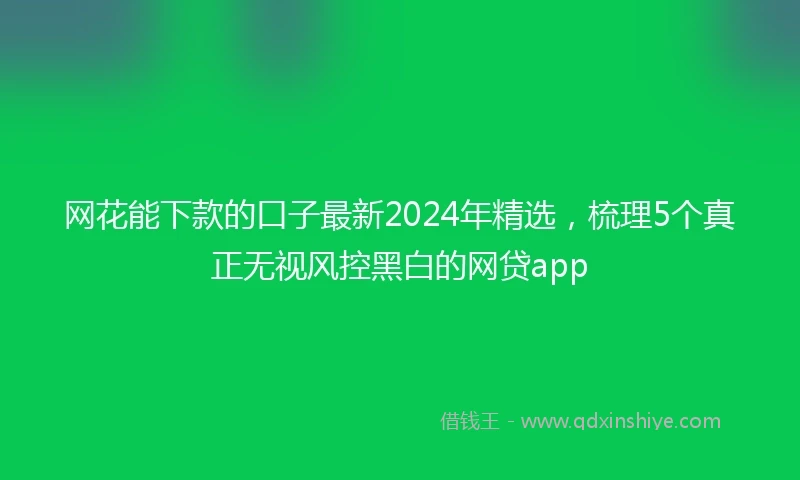 网花能下款的口子最新2024年精选，梳理5个真正无视风控黑白的网贷app