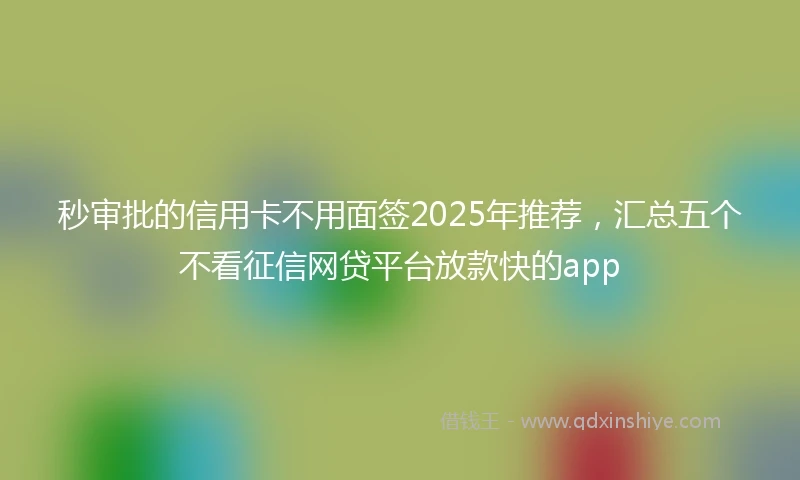 秒审批的信用卡不用面签2025年推荐，汇总五个不看征信网贷平台放款快的app