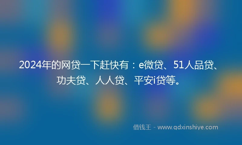 2024年的网贷一下赶快有：e微贷、51人品贷、功夫贷、人人贷、平安i贷等。
