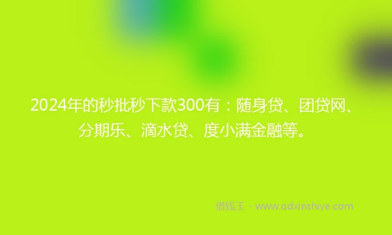 2024年的秒批秒下款300有：随身贷、团贷网、分期乐、滴水贷、度小满金融等。