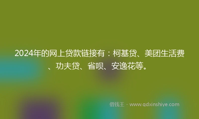 2024年的网上贷款链接有：柯基贷、美团生活费、功夫贷、省呗、安逸花等。