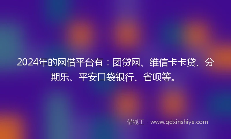 2024年的网借平台有：团贷网、维信卡卡贷、分期乐、平安口袋银行、省呗等。