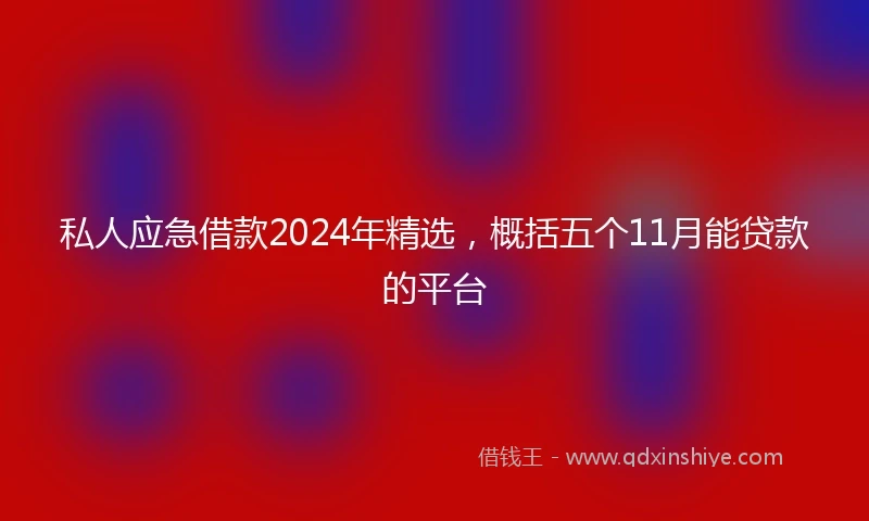 私人应急借款2024年精选，概括五个11月能贷款的平台