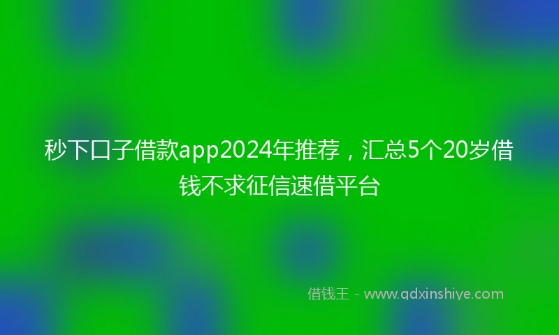 秒下口子借款app2024年推荐，汇总5个20岁借钱不求征信速借平台