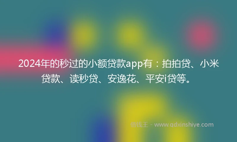 2024年的秒过的小额贷款app有：拍拍贷、小米贷款、读秒贷、安逸花、平安i贷等。