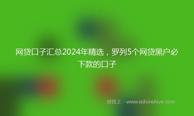 网贷口子汇总2024年精选，罗列5个网贷黑户必下款的口子