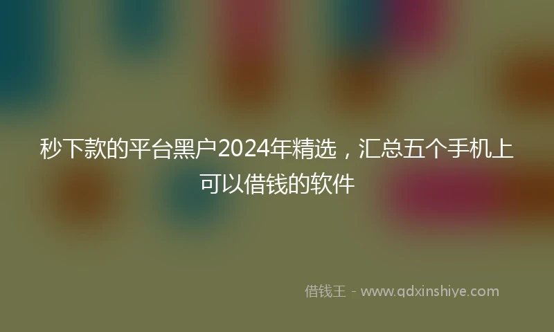 秒下款的平台黑户2024年精选,汇总五个手机上可以借钱的软件