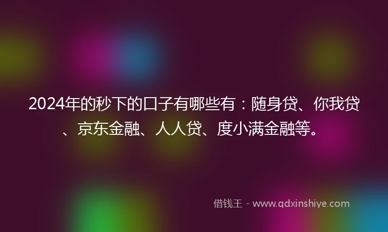 2024年的秒下的口子有哪些有：随身贷、你我贷、京东金融、人人贷、度小满金融等。