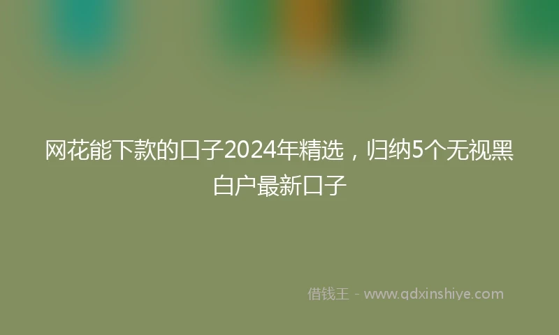 网花能下款的口子2024年精选，归纳5个无视黑白户最新口子