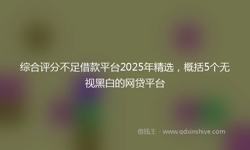 综合评分不足借款平台2025年精选，概括5个无视黑白的网贷平台