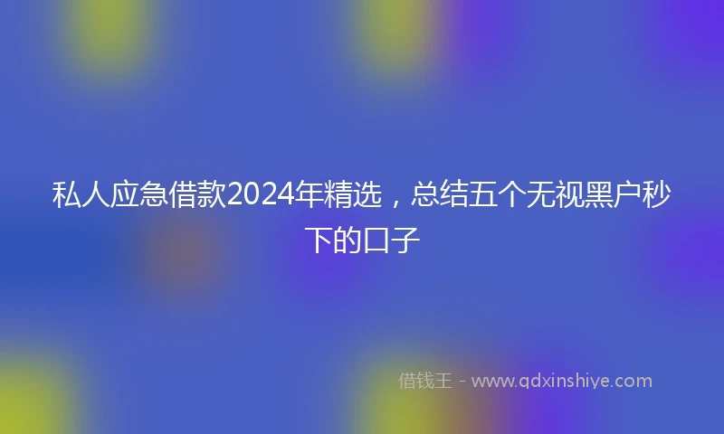 私人应急借款2024年精选，总结五个无视黑户秒下的口子