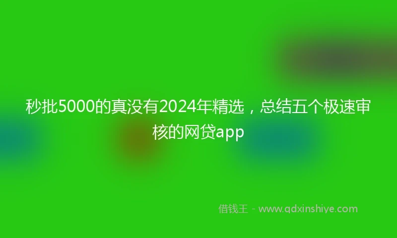秒批5000的真没有2024年精选，总结五个极速审核的网贷app