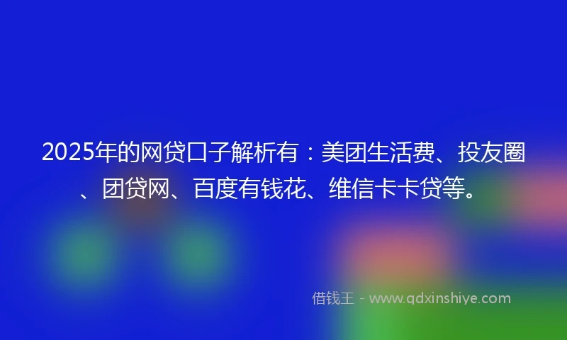 2025年的网贷口子解析有：美团生活费、投友圈、团贷网、百度有钱花、维信卡卡贷等。