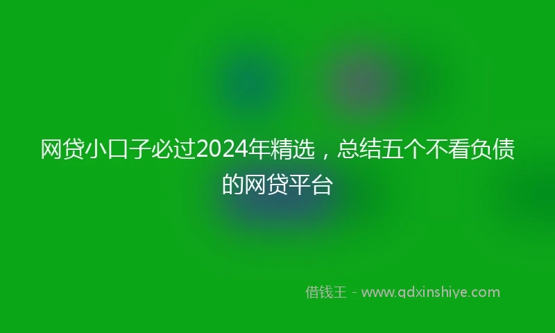 网贷小口子必过2024年精选，总结五个不看负债的网贷平台