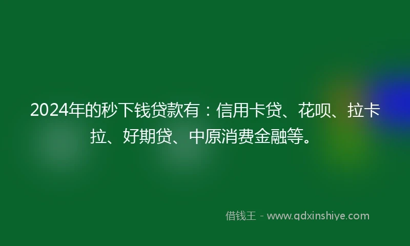 2024年的秒下钱贷款有：信用卡贷、花呗、拉卡拉、好期贷、中原消费金融等。