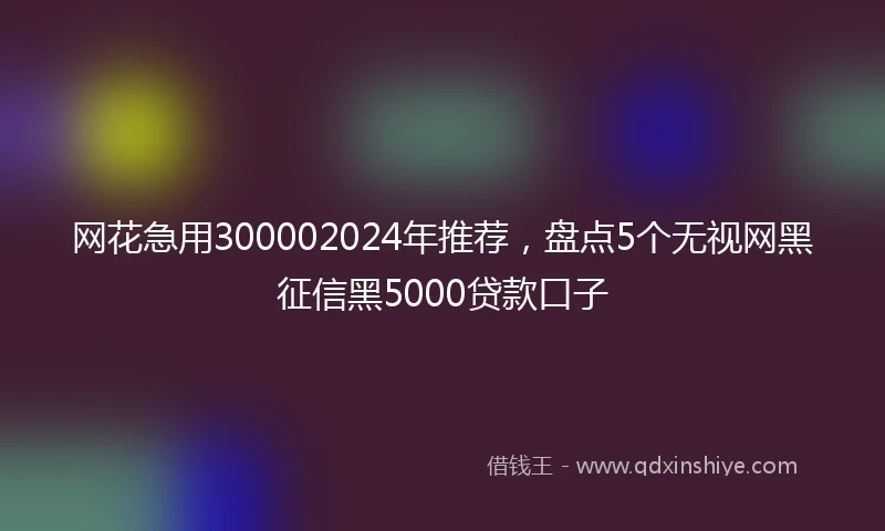 网花急用300002024年推荐，盘点5个无视网黑征信黑5000贷款口子