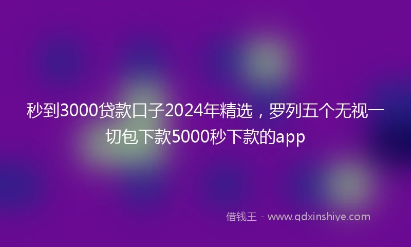 秒到3000贷款口子2024年精选，罗列五个无视一切包下款5000秒下款的app