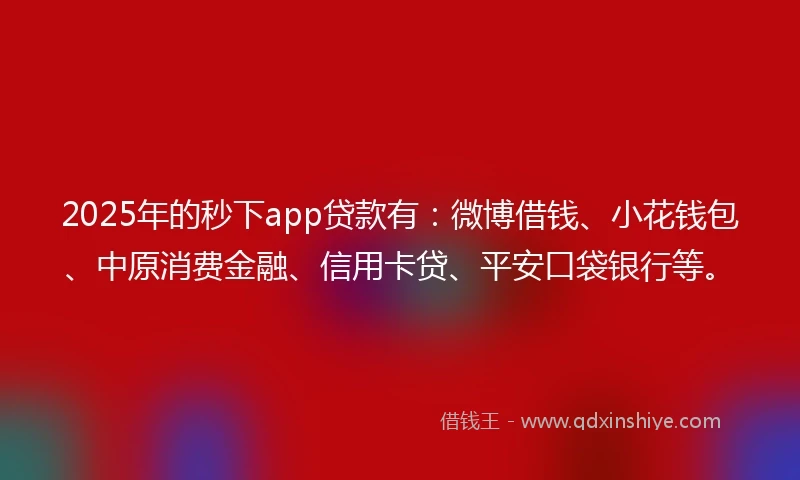 2025年的秒下app贷款有：微博借钱、小花钱包、中原消费金融、信用卡贷、平安口袋银行等。