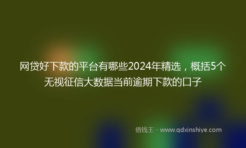 网贷好下款的平台有哪些2024年精选，概括5个无视征信大数据当前逾期下款的口子