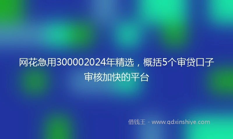 网花急用300002024年精选，概括5个审贷口子审核加快的平台