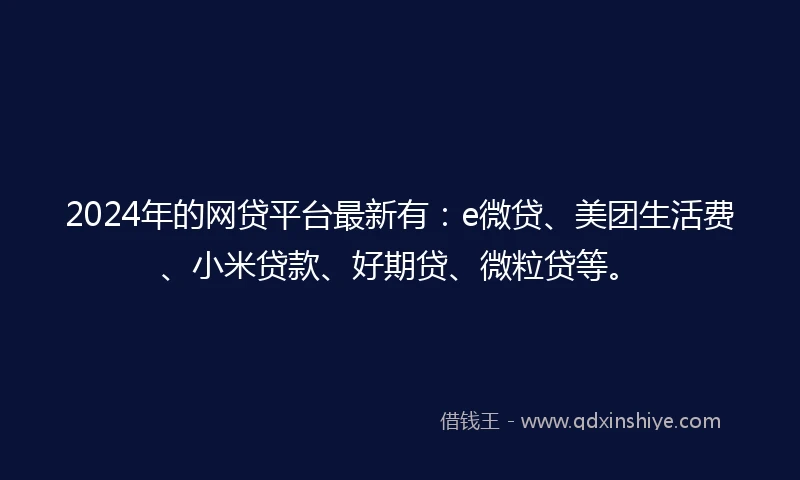 2024年的网贷平台最新有:e微贷、美团生活费、小米贷款、好期贷、微粒贷等。