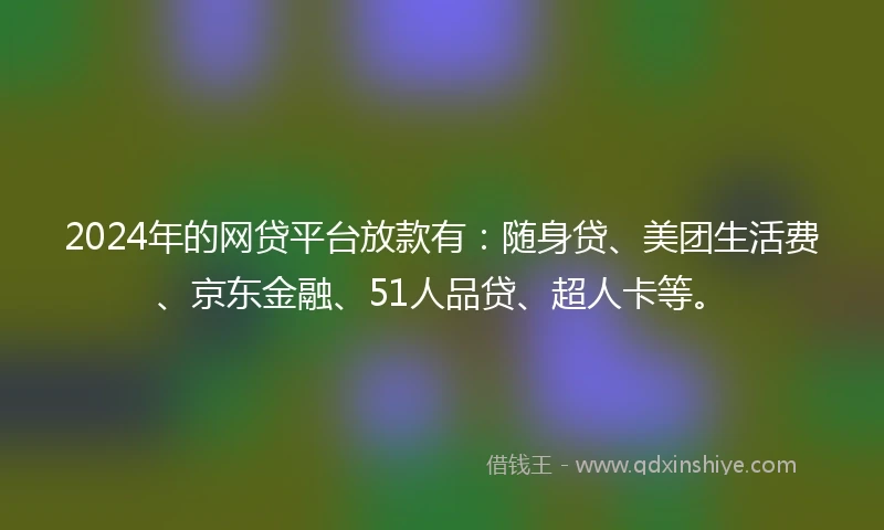 2024年的网贷平台放款有：随身贷、美团生活费、京东金融、51人品贷、超人卡等。