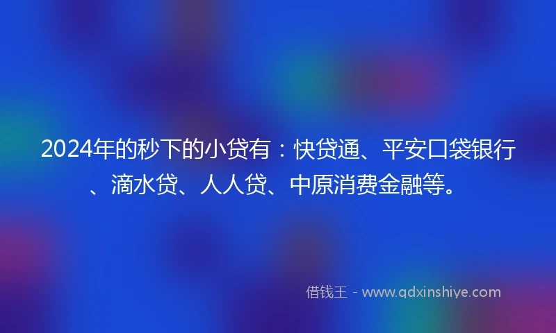 2024年的秒下的小贷有：快贷通、平安口袋银行、滴水贷、人人贷、中原消费金融等。