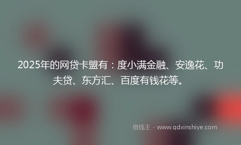 2025年的网贷卡盟有：度小满金融、安逸花、功夫贷、东方汇、百度有钱花等。