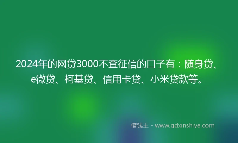 2024年的网贷3000不查征信的口子有：随身贷、e微贷、柯基贷、信用卡贷、小米贷款等。