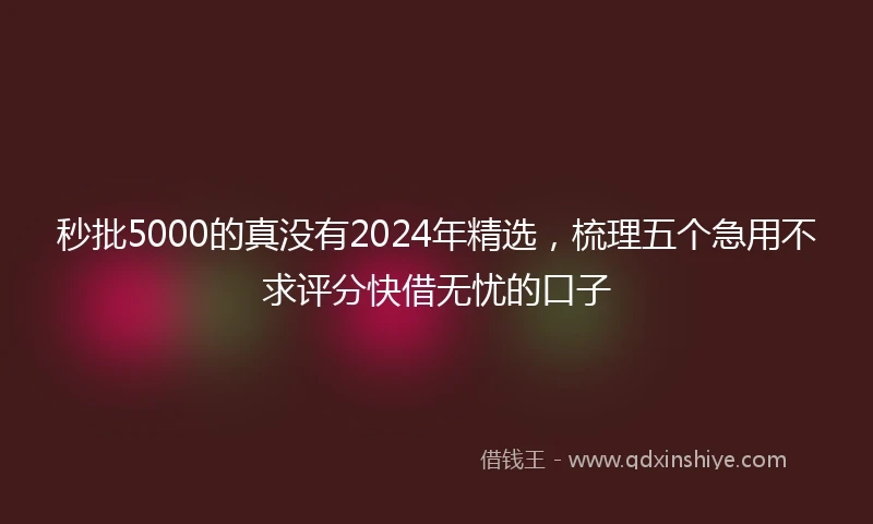 秒批5000的真没有2024年精选，梳理五个急用不求评分快借无忧的口子