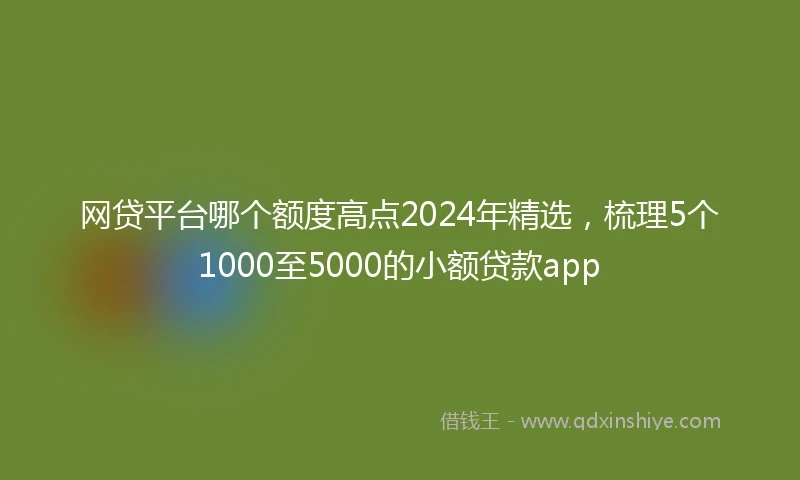 网贷平台哪个额度高点2024年精选，梳理5个1000至5000的小额贷款app