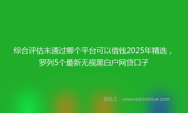 综合评估未通过哪个平台可以借钱2025年精选，罗列5个最新无视黑白户网贷口子