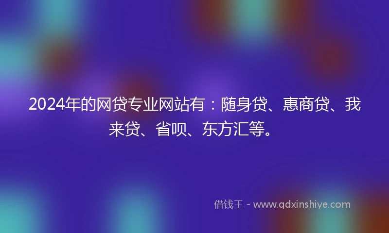 2024年的网贷专业网站有：随身贷、惠商贷、我来贷、省呗、东方汇等。