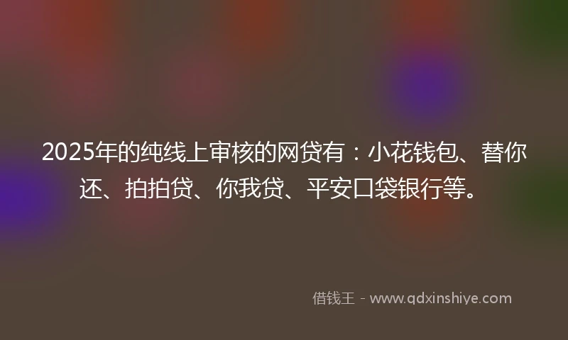 2025年的纯线上审核的网贷有：小花钱包、替你还、拍拍贷、你我贷、平安口袋银行等。