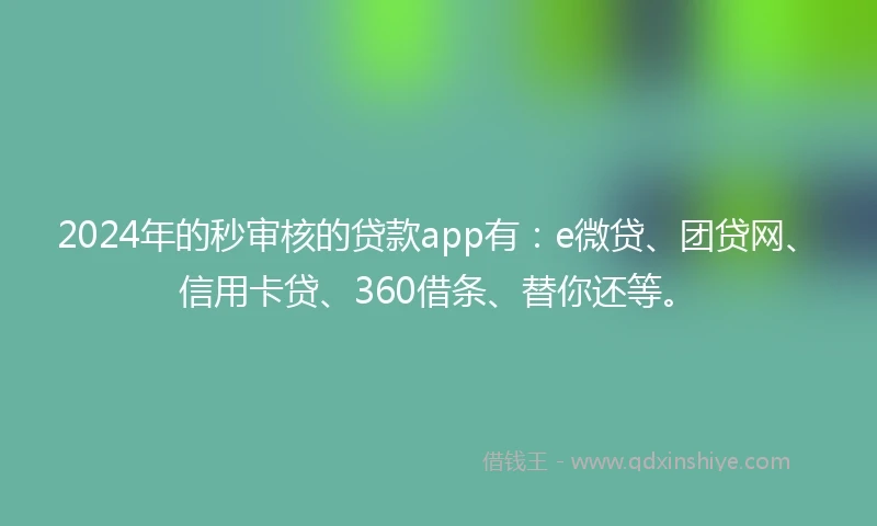 2024年的秒审核的贷款app有：e微贷、团贷网、信用卡贷、360借条、替你还等。
