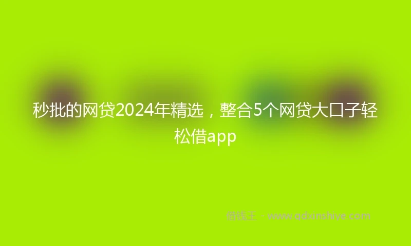 秒批的网贷2024年精选，整合5个网贷大口子轻松借app