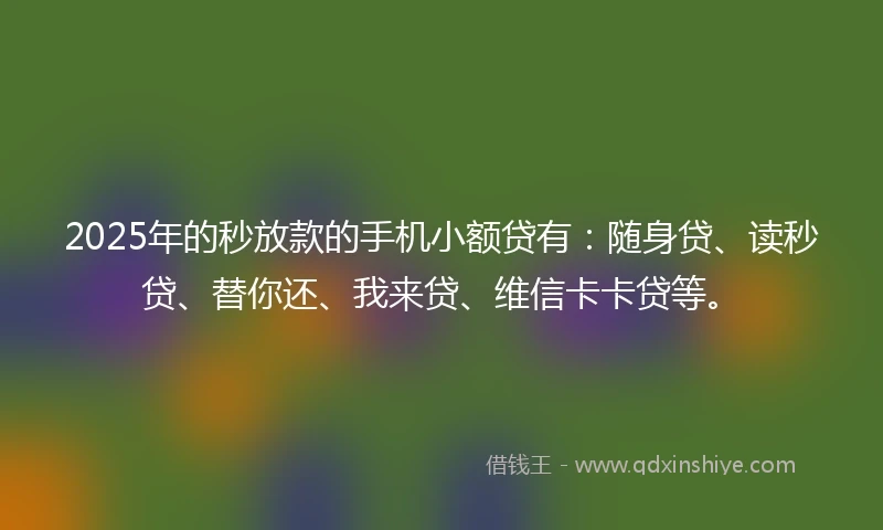 2025年的秒放款的手机小额贷有：随身贷、读秒贷、替你还、我来贷、维信卡卡贷等。