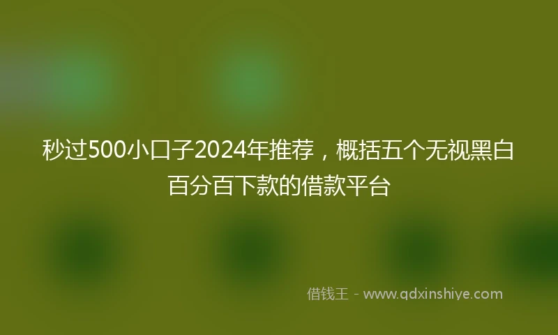 秒过500小口子2024年推荐，概括五个无视黑白百分百下款的借款平台