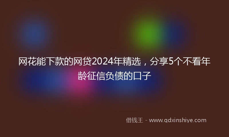 网花能下款的网贷2024年精选，分享5个不看年龄征信负债的口子