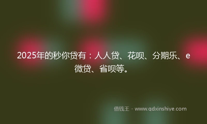 2025年的秒你贷有：人人贷、花呗、分期乐、e微贷、省呗等。