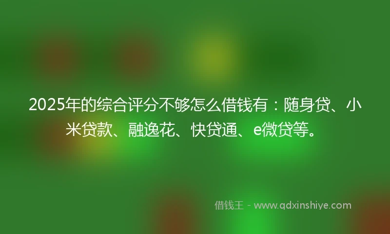 2025年的综合评分不够怎么借钱有:随身贷、小米贷款、融逸花、快贷通、e微贷等。