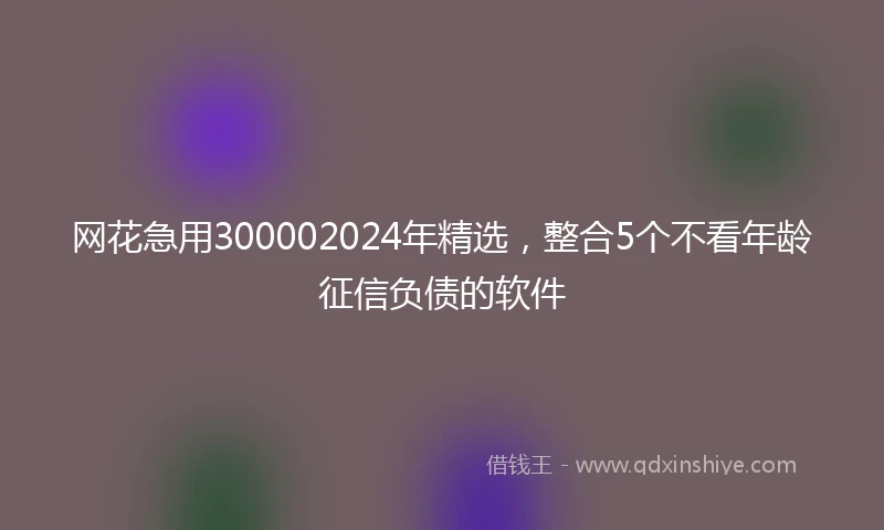 网花急用300002024年精选，整合5个不看年龄征信负债的软件