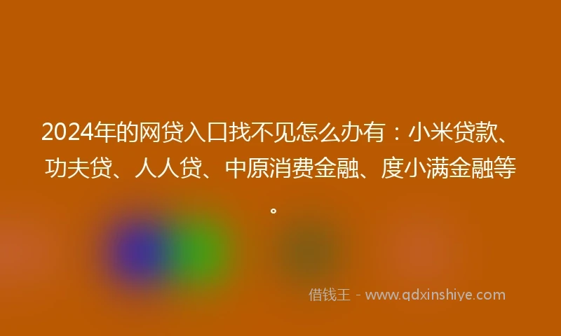 2024年的网贷入口找不见怎么办有：小米贷款、功夫贷、人人贷、中原消费金融、度小满金融等。