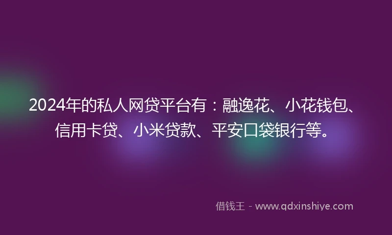 2024年的私人网贷平台有：融逸花、小花钱包、信用卡贷、小米贷款、平安口袋银行等。